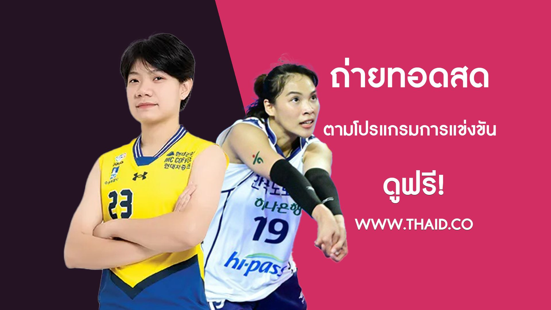 วอลเลย์บอลลีกเกาหลีใต้